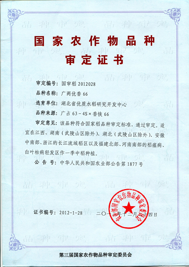 4、廣兩優(yōu)香66（國(guó)審）_副本.jpg